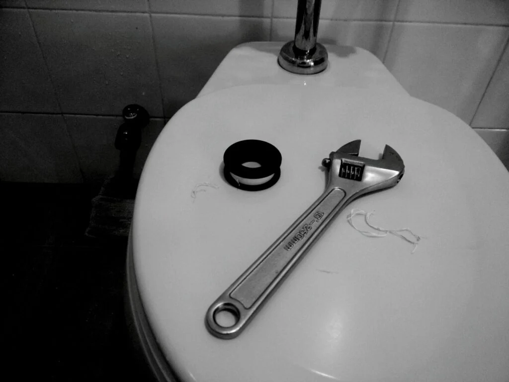 Toilet ontstoppen